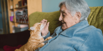 6 Tips for Caring for Pets in Retirement