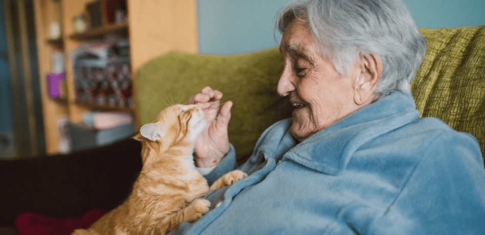 Older woman holding orange cat while smiling.