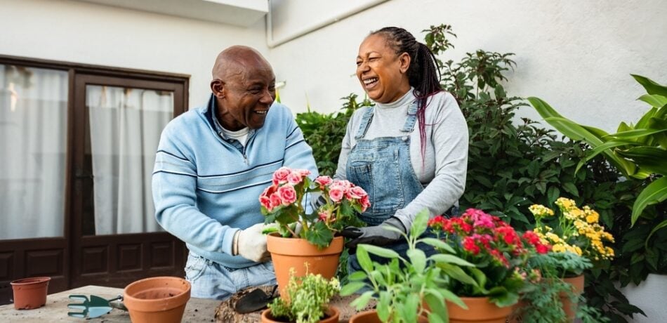 Happy African senior people gardening together at home.