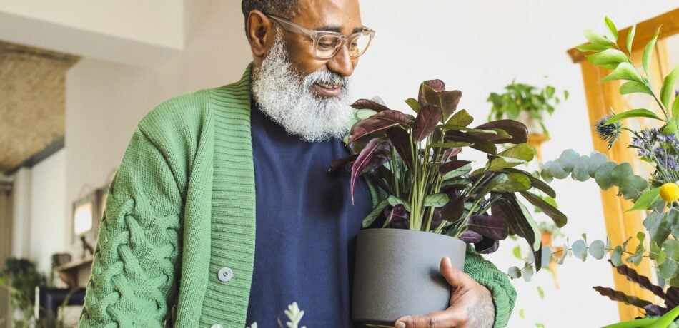 Smiling senior man carrying potted plant while indoor gardening at home.